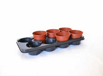 408 Growers Collection > - Marketing Trays