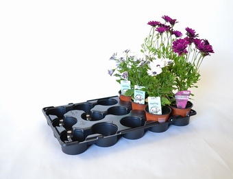 MT15v-10.5 Growers Collection > - Marketing Trays