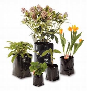 Poly Bags Growers Collection > - Poly Bags