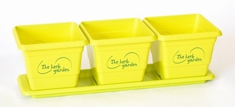 Your logo here Personalised Pots