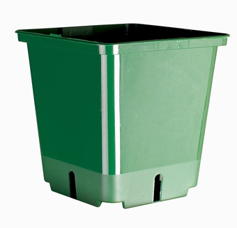 Pot Carre Standard Growers Collection > - Container Pots
