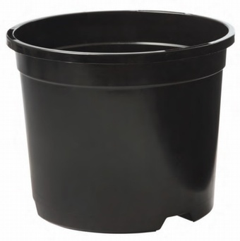 1 litre container Growers Collection > - Container Pots