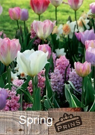 Prins Spring Bulb Catalogue Bulb Collection > - Spring & Autumn