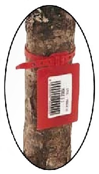 Tie Lables Plant & Tree Care