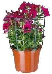 GT Stakes Plant & Tree Care