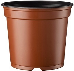 Penta 17cm Low 5 degree Growers Collection > - Container Pots