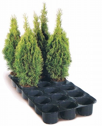 Supertrays Growers Collection > - Marketing Trays