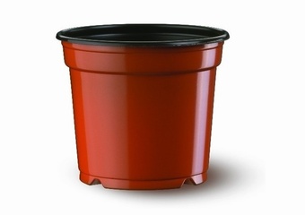 Penta 13cm 5 degree Low Growers Collection > - Pots