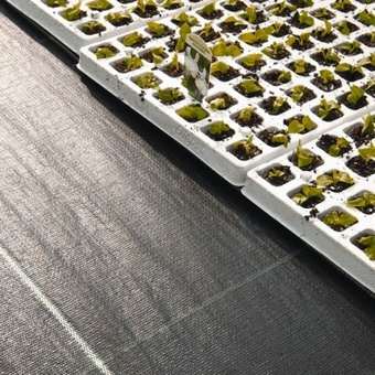 2m x 100m Ground Cover Miscellaneous